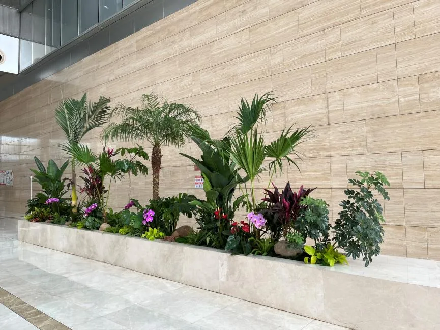 杭州湾花木租摆服务佳，满足你的绿植需求！